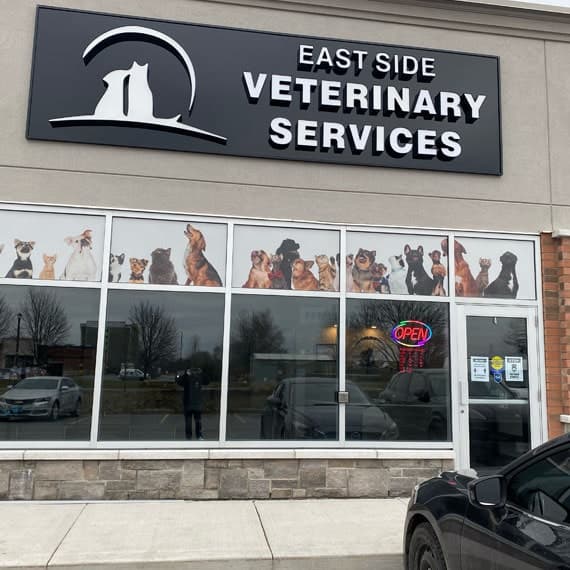 EastSide Veterinary gallery image 3