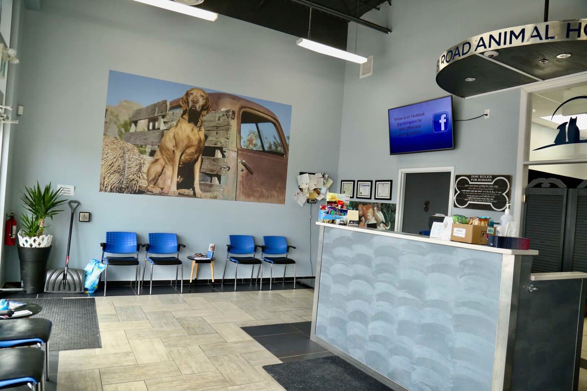 EastSide Veterinary gallery image 5